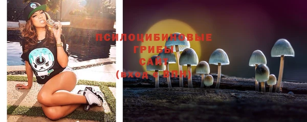 твердый Аркадак