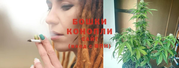 твердый Аркадак