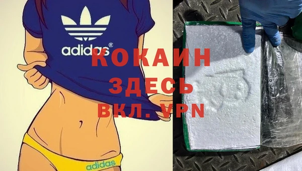 твердый Аркадак