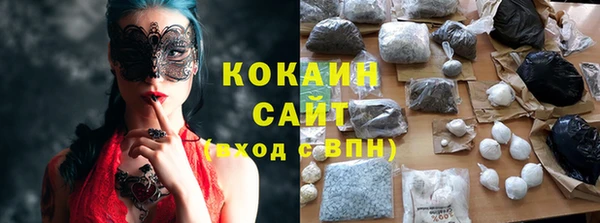 твердый Аркадак